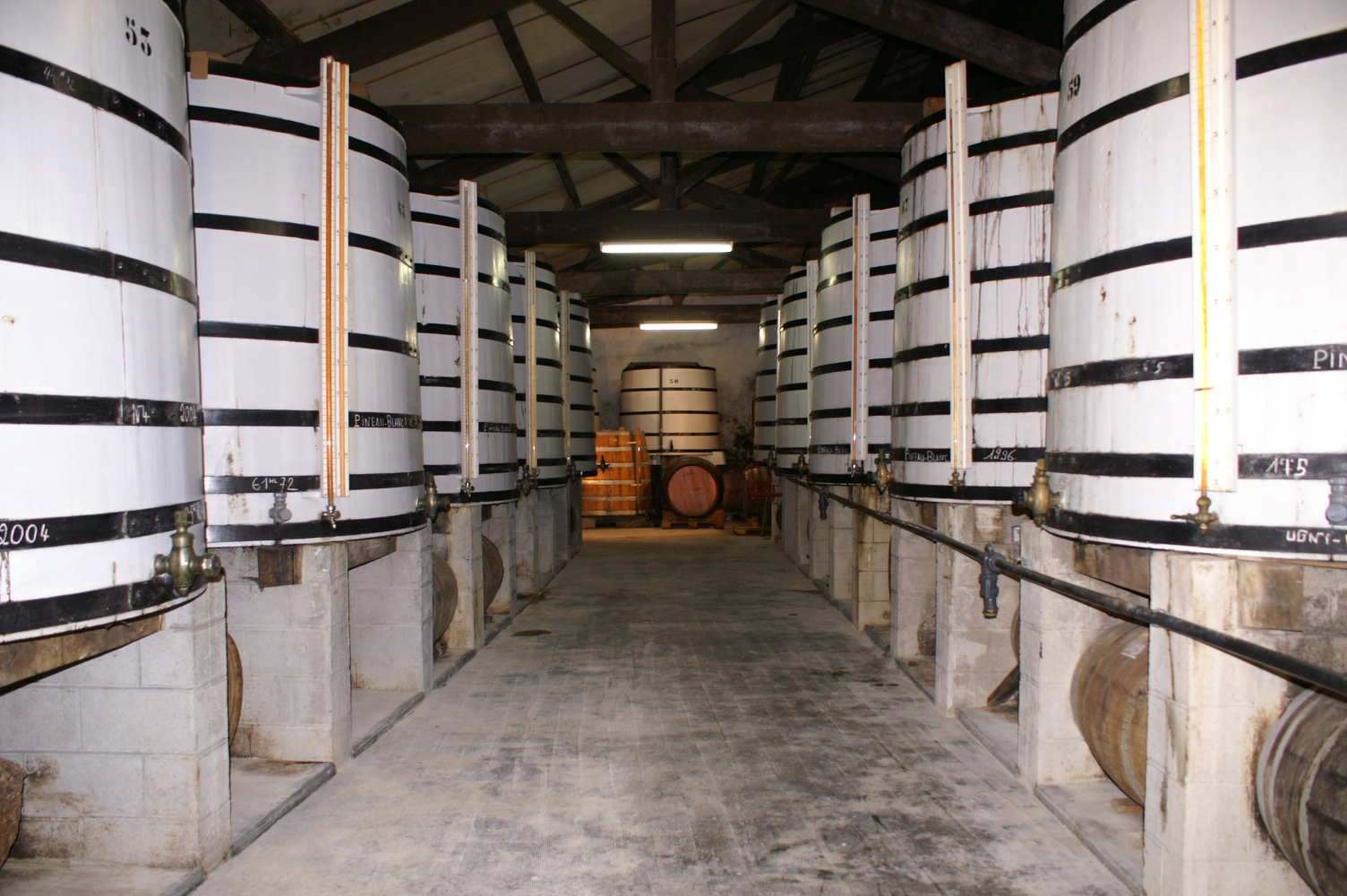 Visite guidée - Exploitation Pineau Cognac Roussille