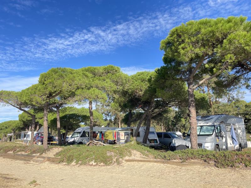 Camping Le Pansard à La Londe