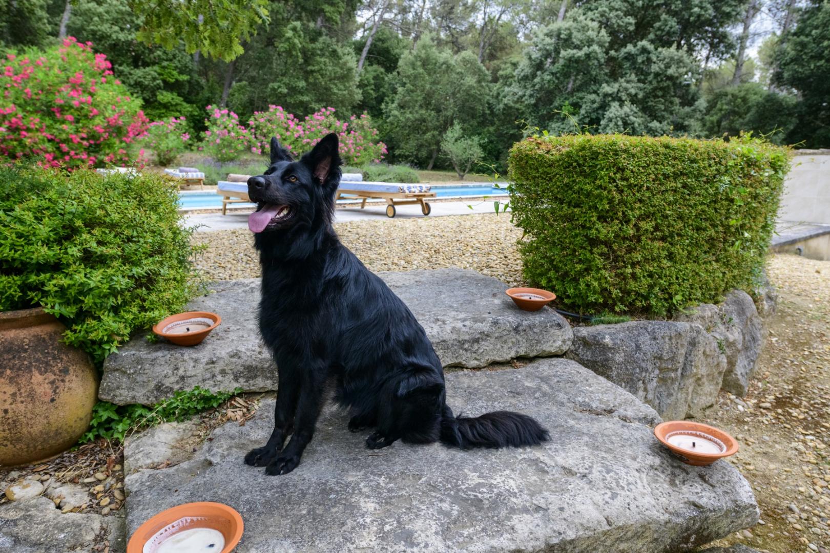 Le Clos de Bagalance, Barbentane - photo 51