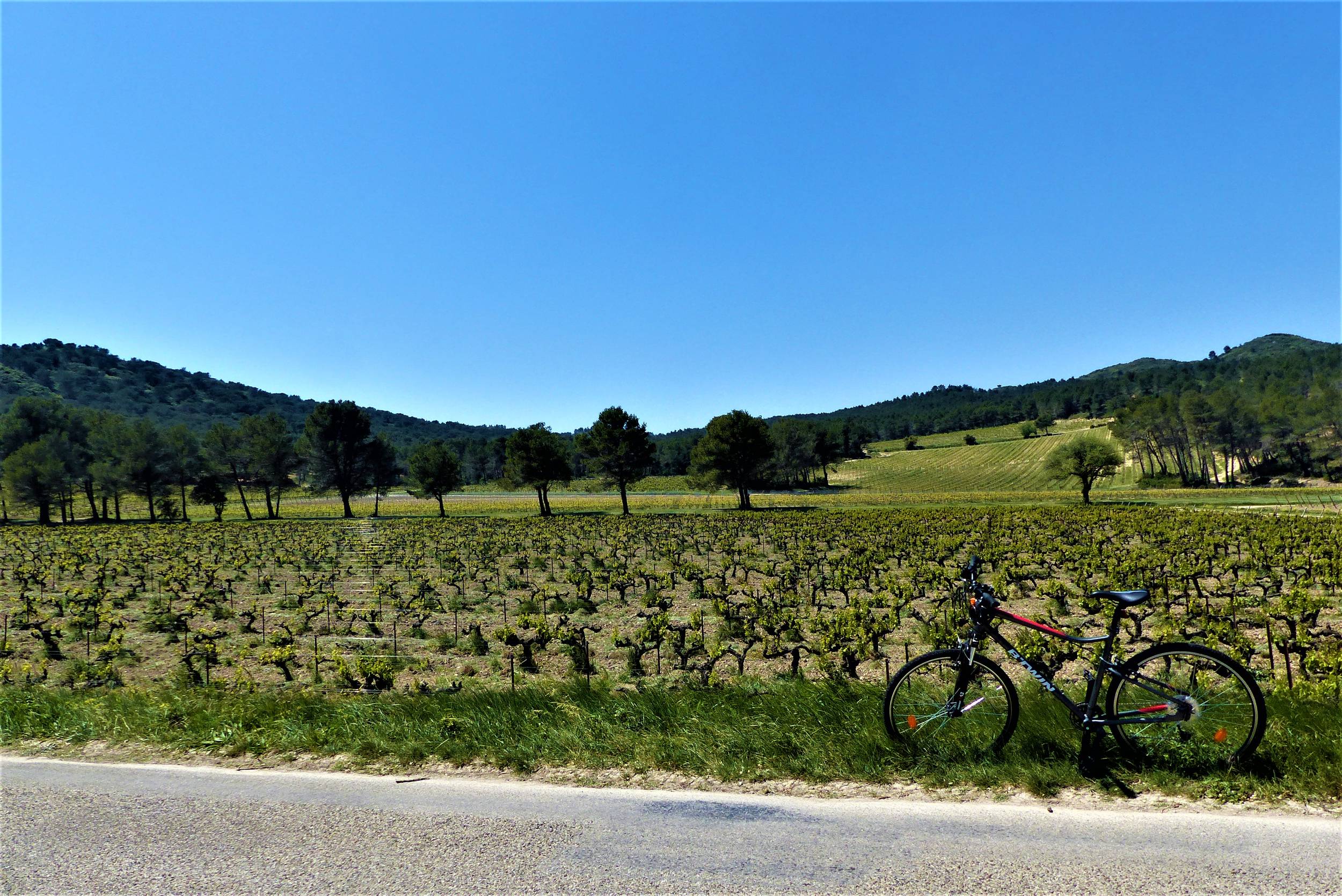 MOURIÈS - Alpilles-Roquemartine à vélo : l'intégrale — photo 2