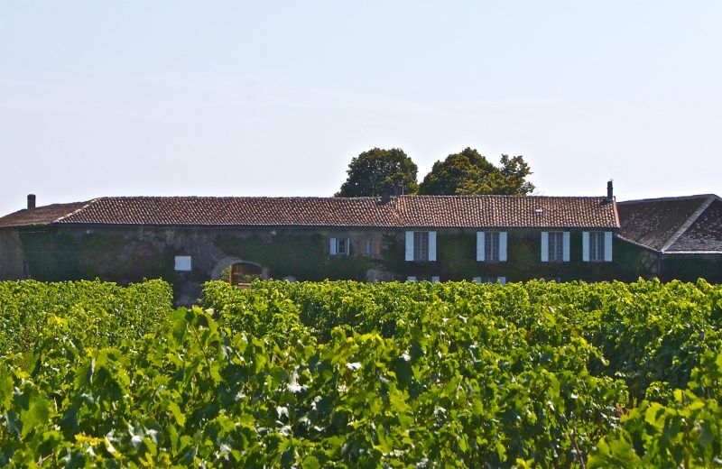 Visite Domaine de la Grolette - Maison Cognac Ordonneau
