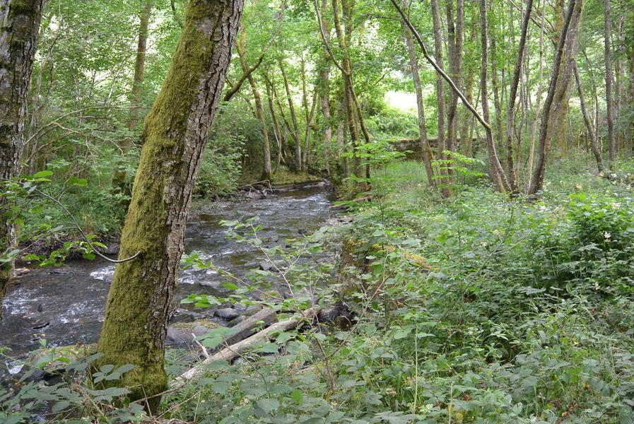 La vallée de la Clidane
