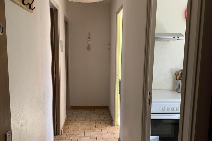 Gîte du Basalte - Myosotis