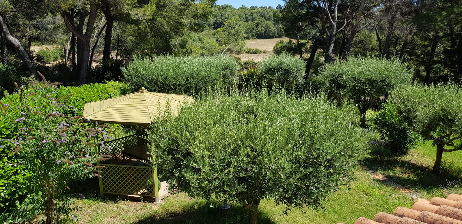 Les Hauts Pinchinats