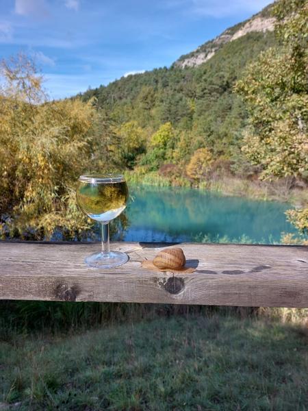 Les escargots du lac