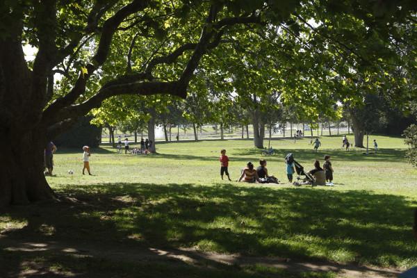 À la recherche des trésors du parc Borély  (Enfants) RDV aux jardins