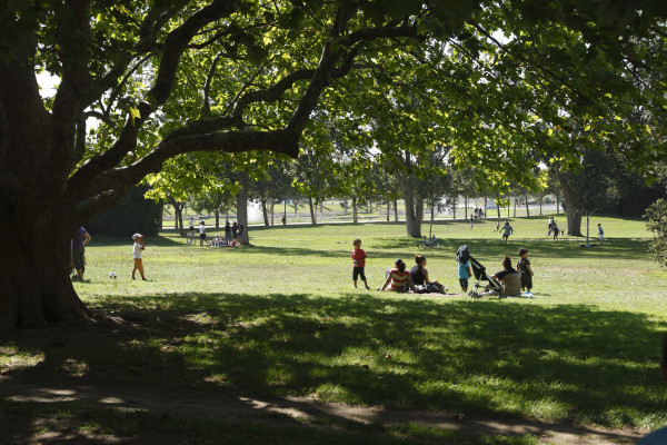 À la recherche des trésors du parc Borély (Enfants) RDV aux jardins