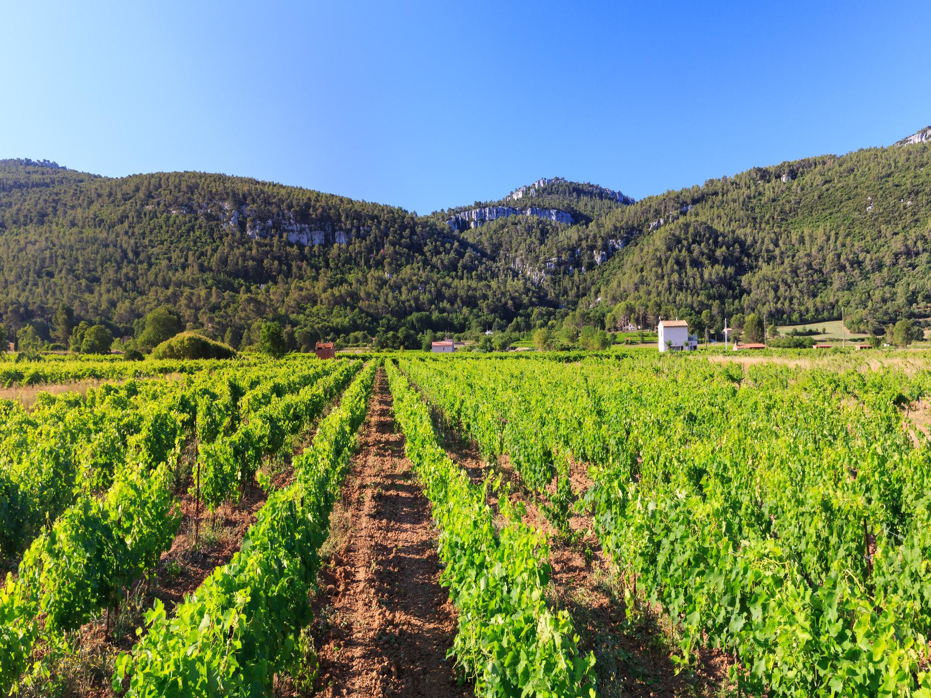 Domaine l'Ecume de Lune