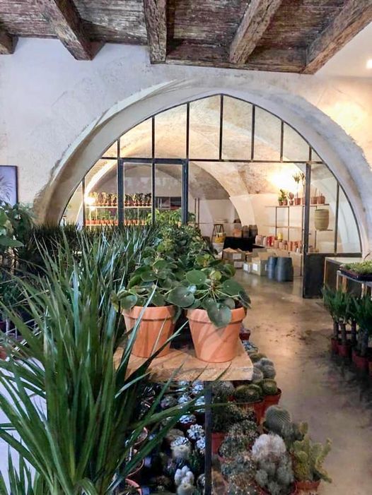 Le Jasmin de Carthage