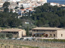 Vue village & vignoble