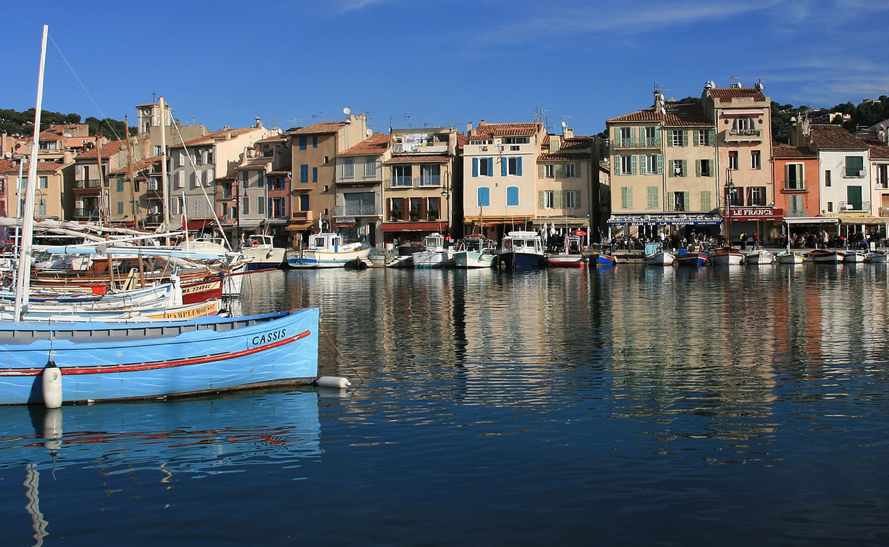 Anemone, Cassis - photo 6