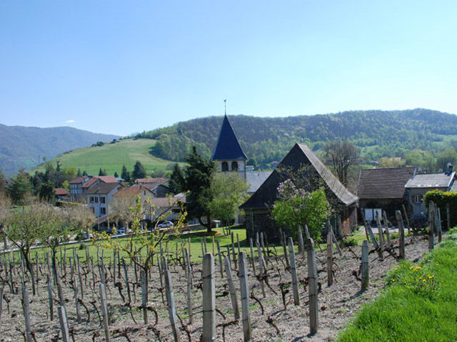 Eglise Saint-Pierre Brié et Angonnes