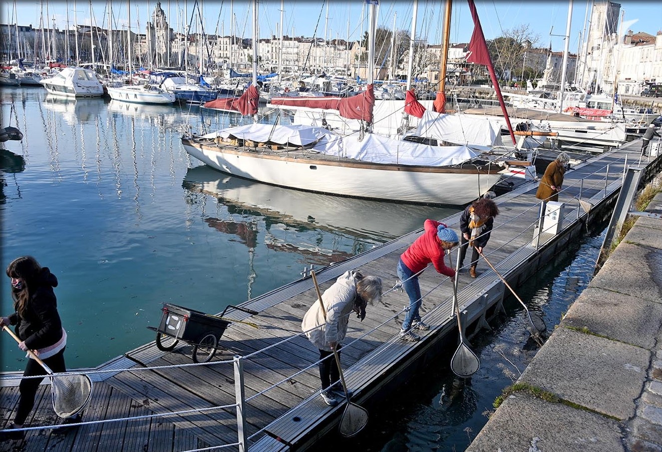 Animation - Epuise ton déchet - Echo Mer