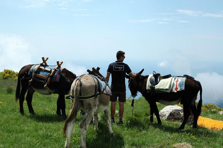 Randonnée avec les ânes