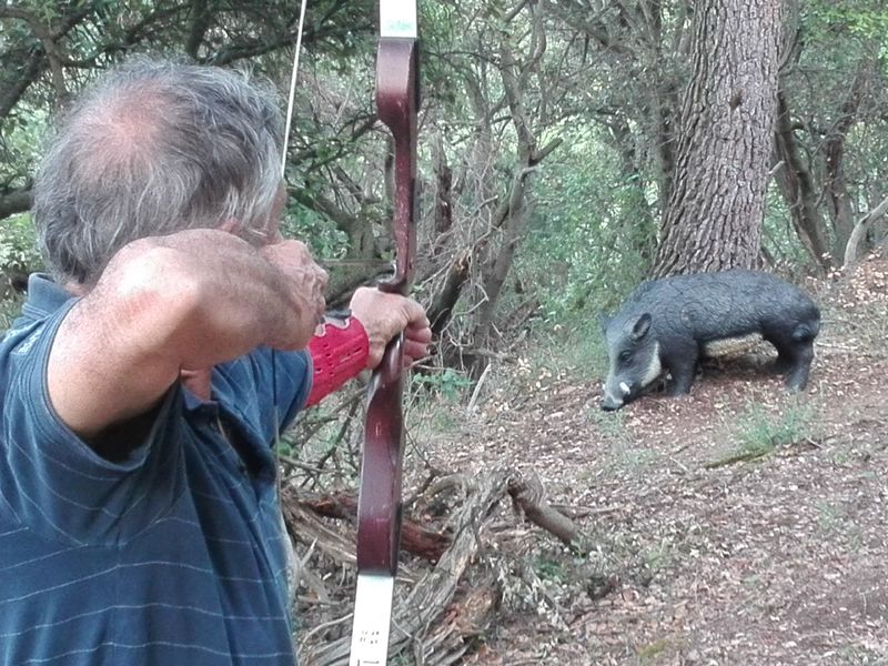 Tir à l'arc en pleine natu