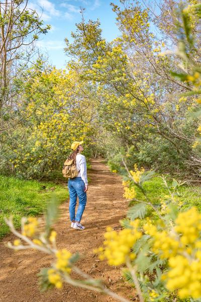 Randonnée sentier du Mimosa_Roquebrune-sur-Argens