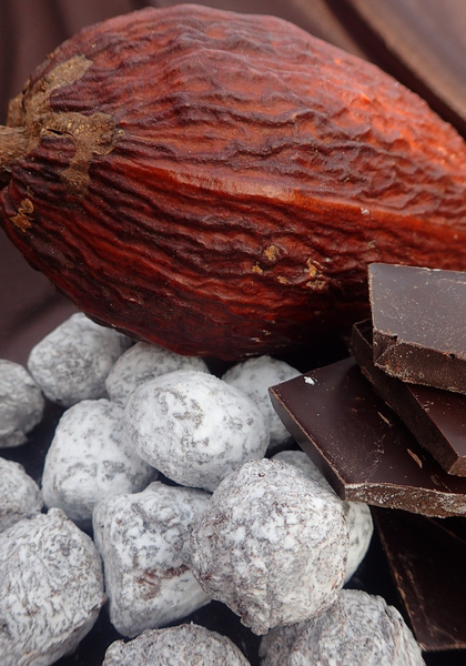 Truffes