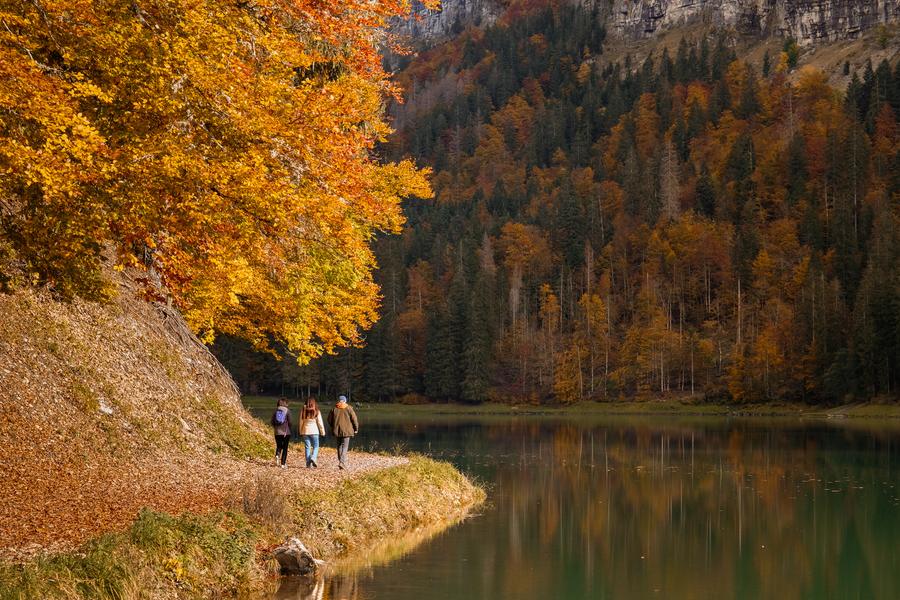 Lac de Montriond_Montriond