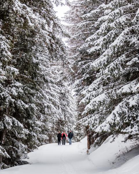 promenade hiver