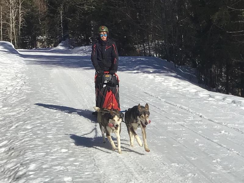 Conduite d'Attellage