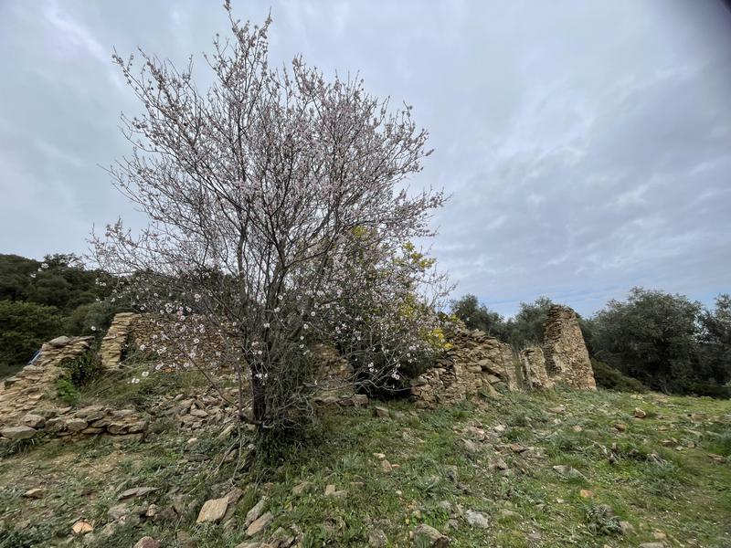 Le balcon des Issambres_Les Issambres (Roquebrune sur Argens)