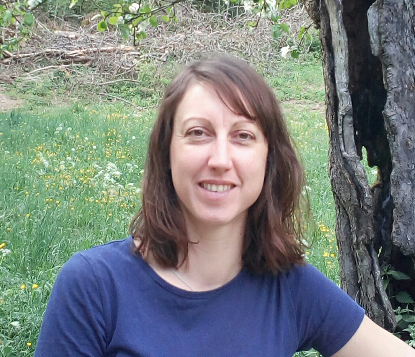 Eco-tours en Auvergne