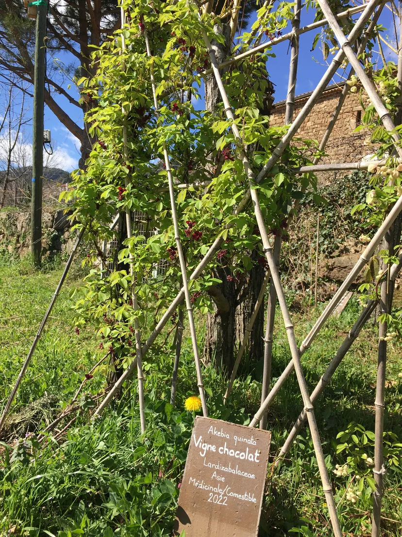 Découverte du jardin botanique de Vanosc_Vanosc