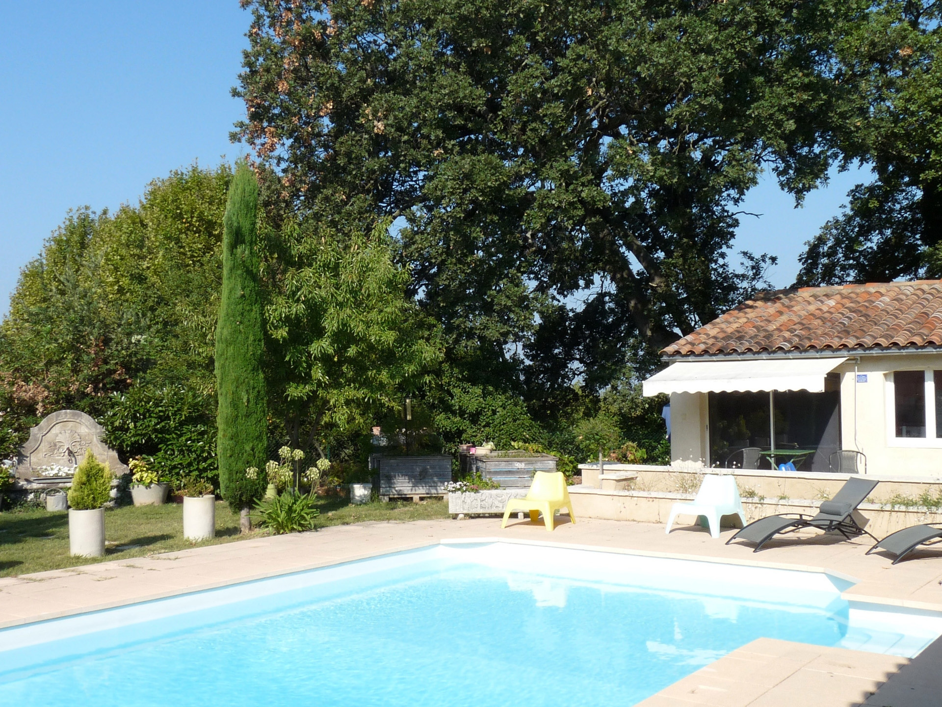 Sous les chênes en Provence