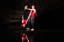 VIVE - Compagnie Superlune_Grenoble