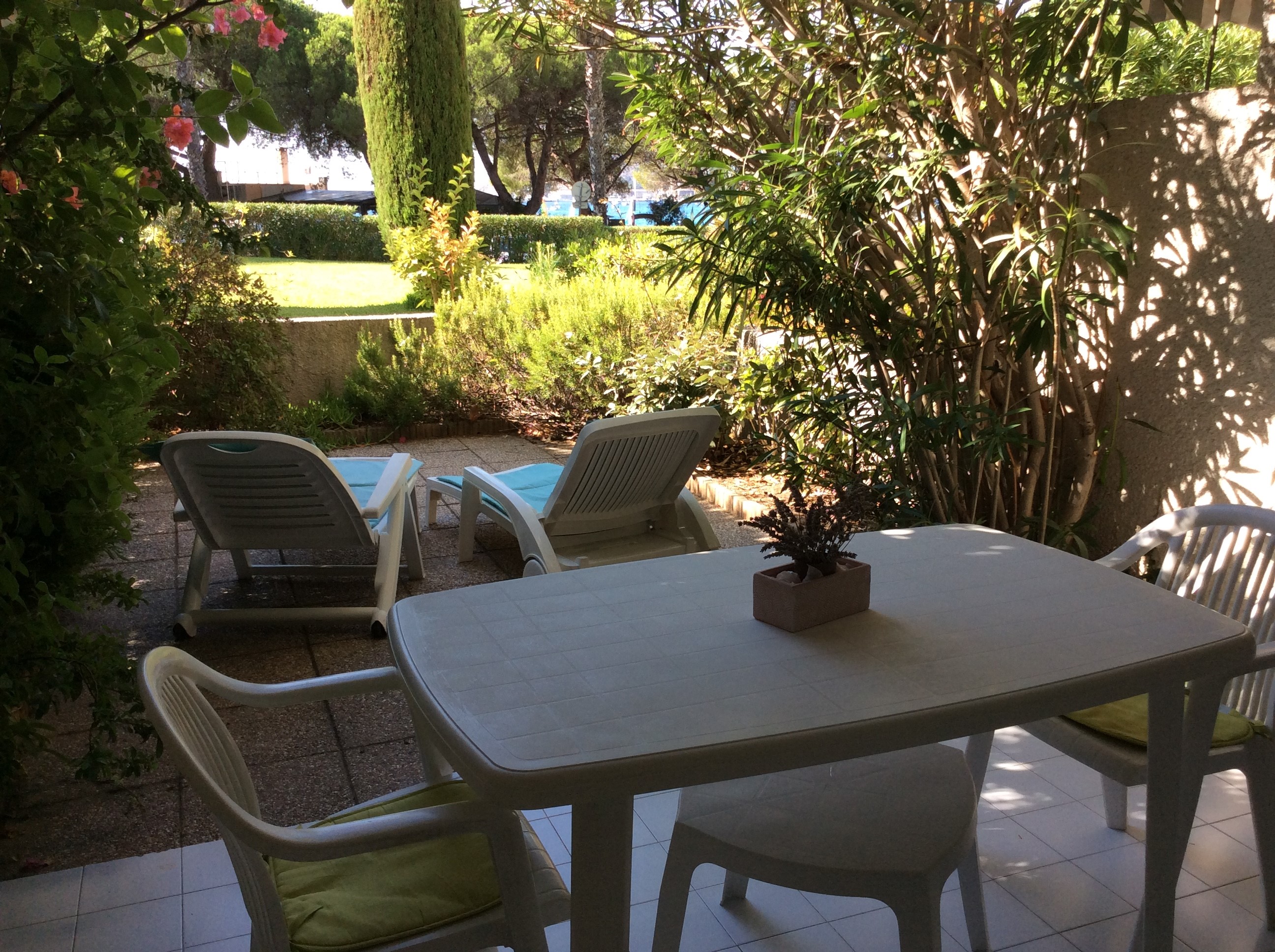 Alexandrine - photo 3