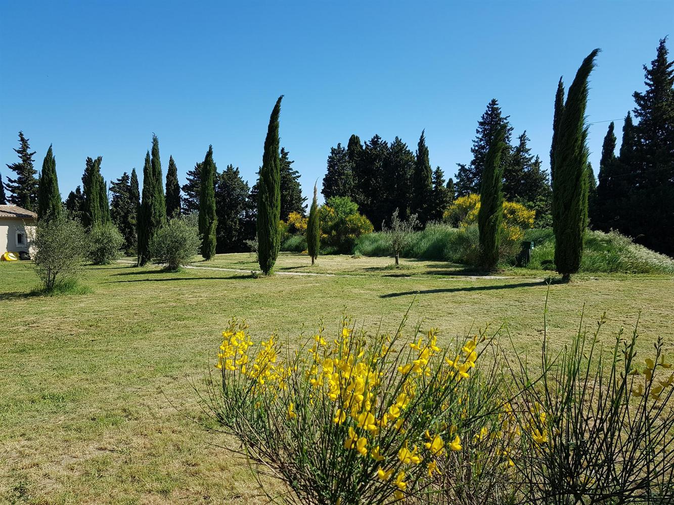 La Coccinelle d'Emilie, Noves - photo 29