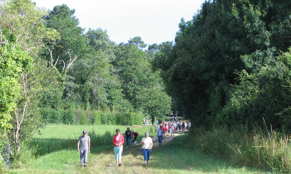 Randonnées des huitres