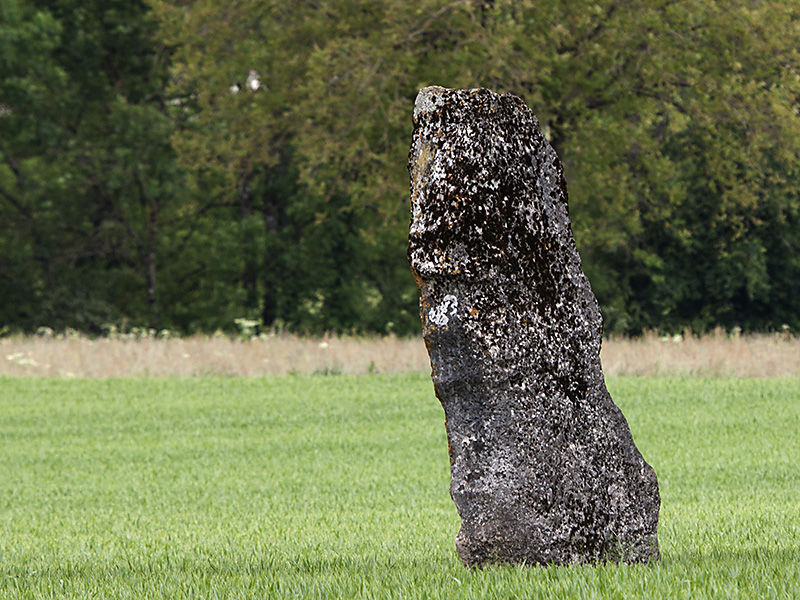 Menhir de Pierre Fiche - Simandre-sur-Suran Menhir de Pierre Fiche - Simandre-sur-Suran