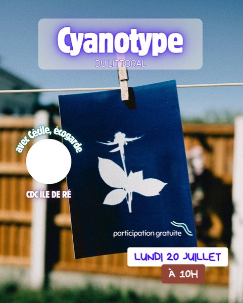 Atelier : Cyanotype du littoral