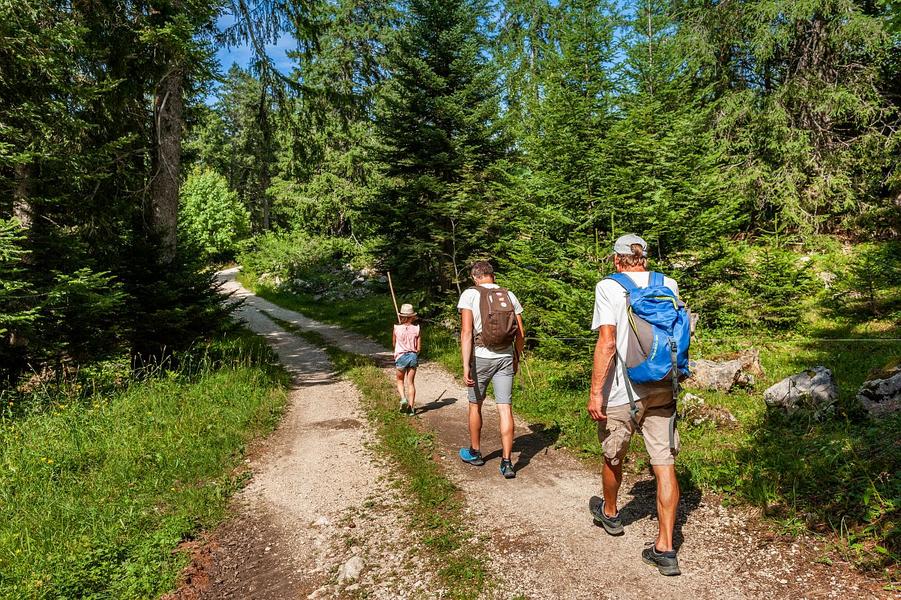 Foret Savoie Grand Revard