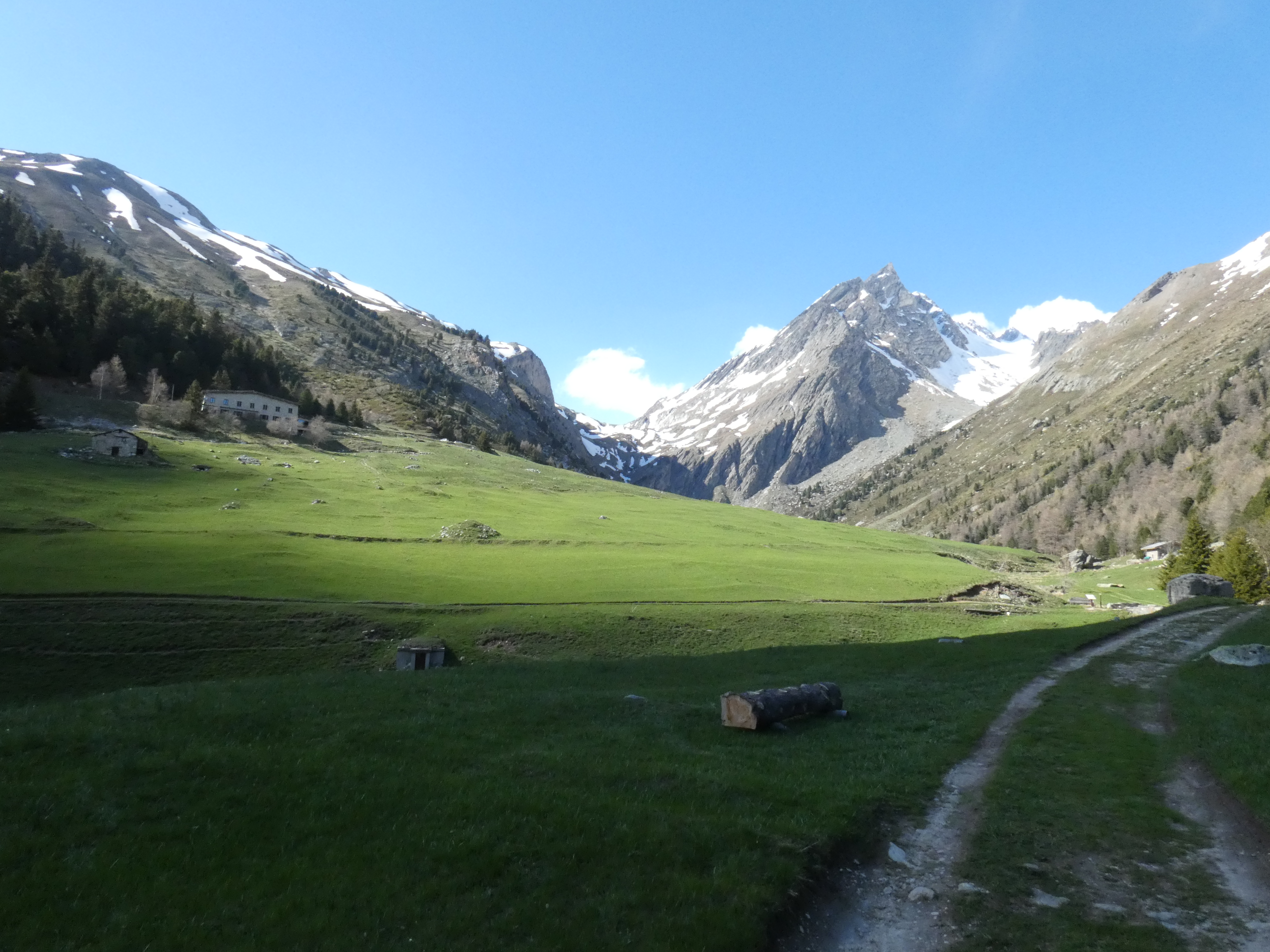 Alpages autour de La Norma