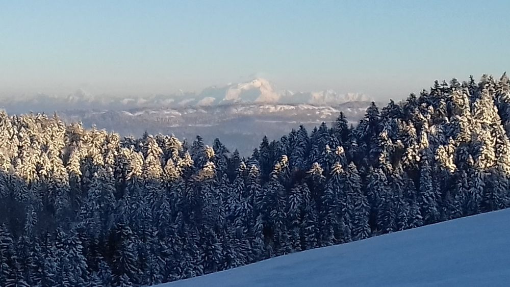 Vue depuis les crêtes à la Praille Vue depuis les crêtes à la Praille