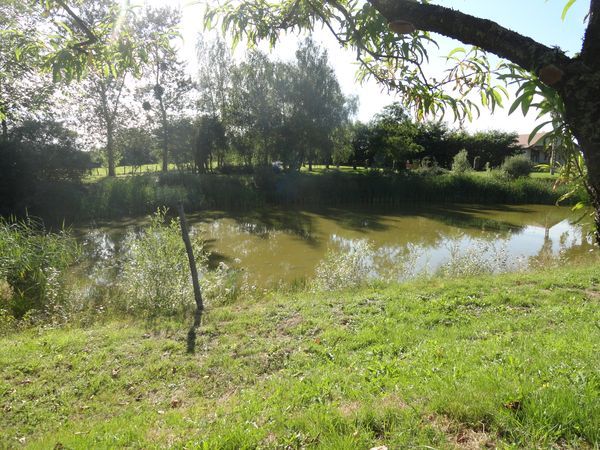 Parc avec son étang