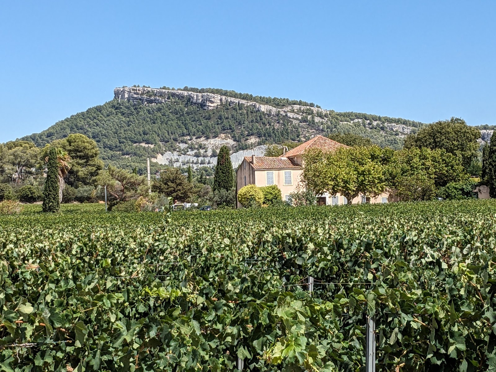 Domaine Cassis Bodin, Cassis - photo 12