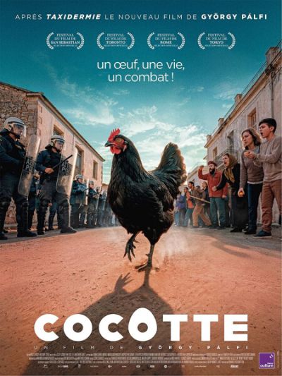 Projection ciné-club : Cocotte_Cours