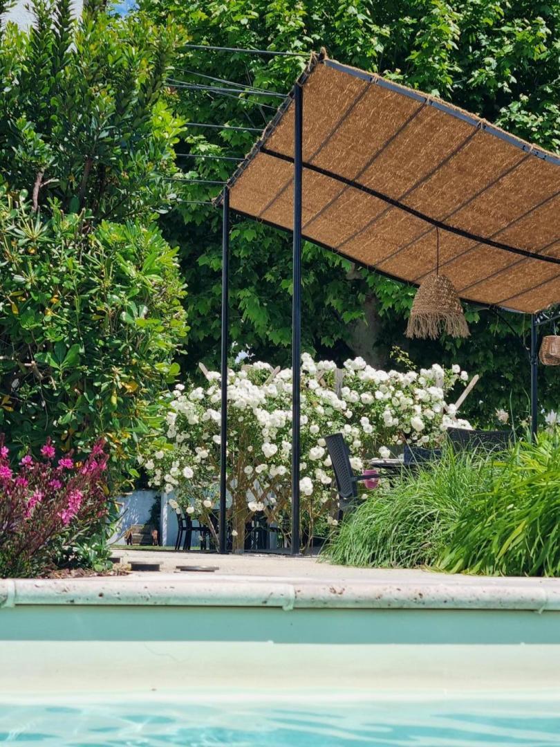 Mas Hector, Châteaurenard - photo 6