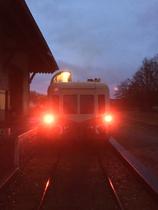 Balade contée au coeur du Haut-Forez - Train_Estivareilles