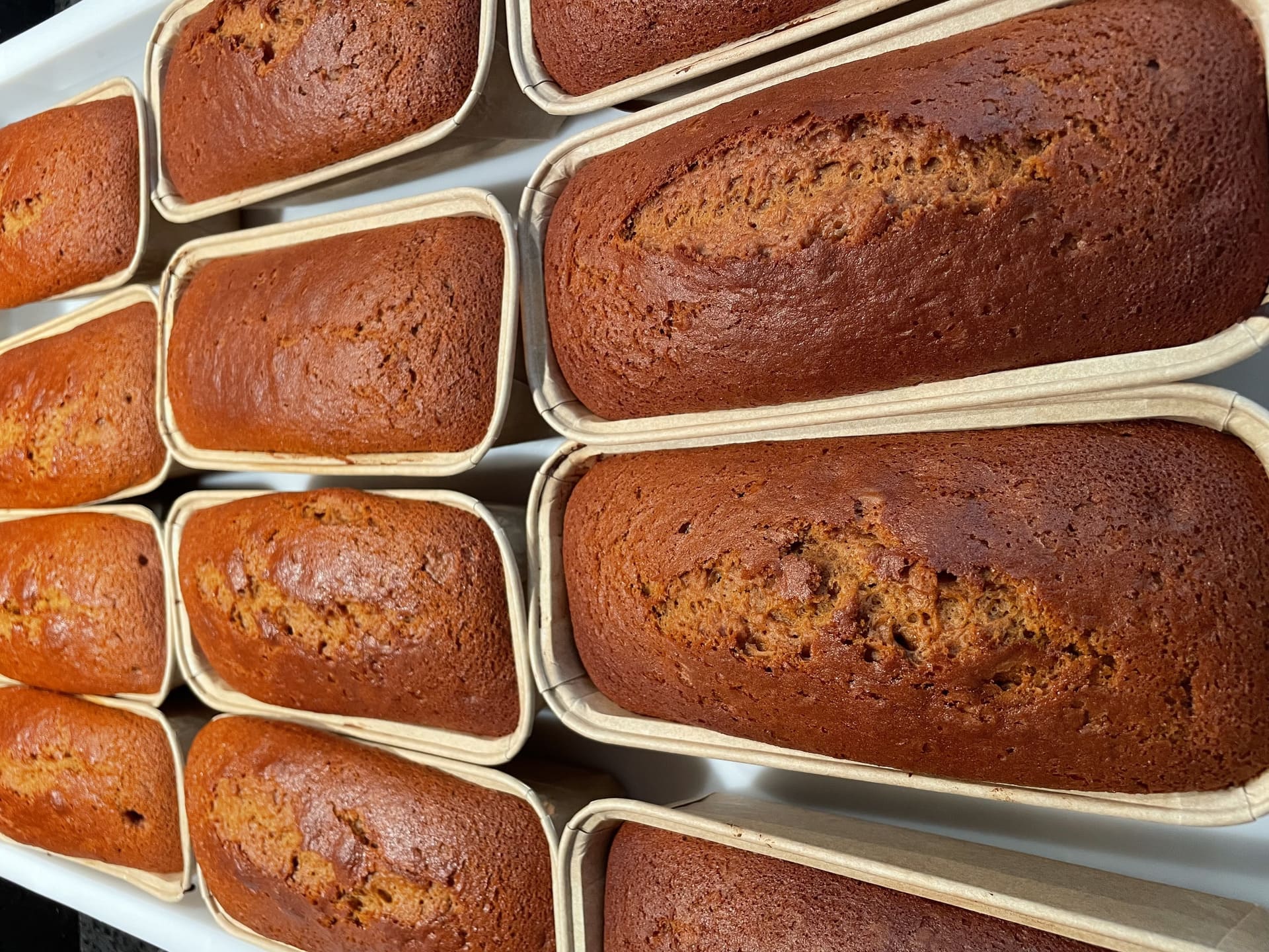 Les ruchers de Georges