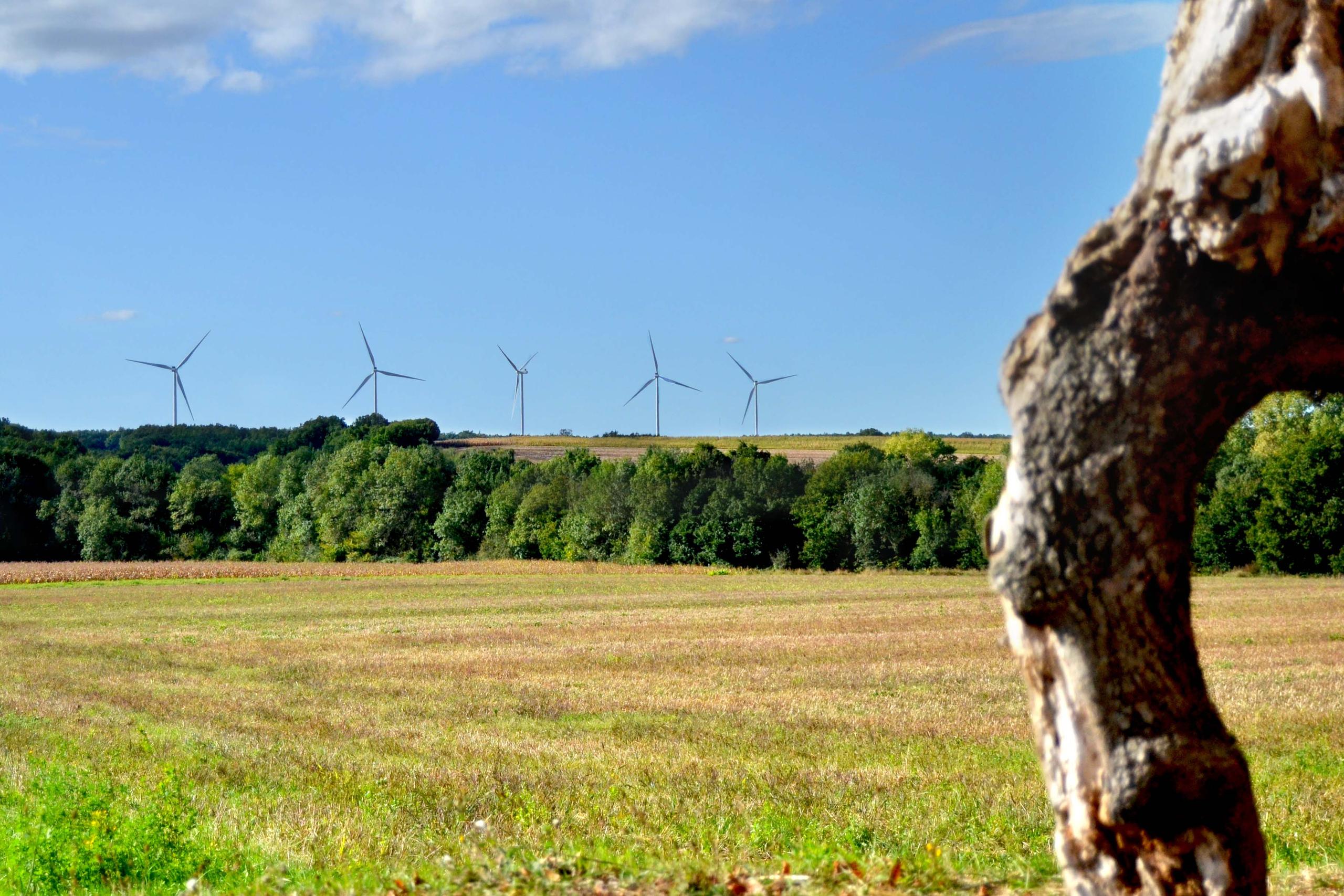 Sentiers des petits bois - Lichères