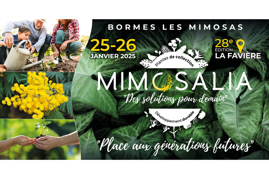 Mimosalia_Bormes-les-Mimosas