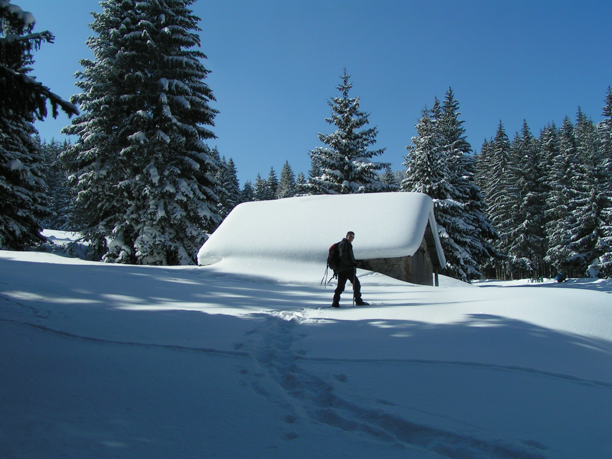 Week-end trappeurs dans la réserve naturelle des hauts plateaux du Vercors