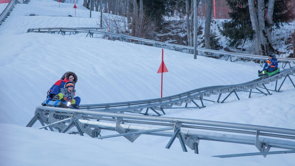 Luge 4 saisons