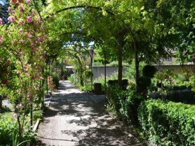 Bouches-du-Rhône en Paysages - Pélissanne, au fil de l'eau