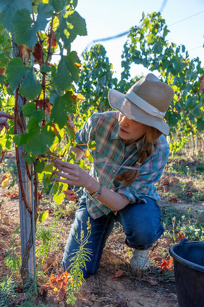 Château de Champ-Renard