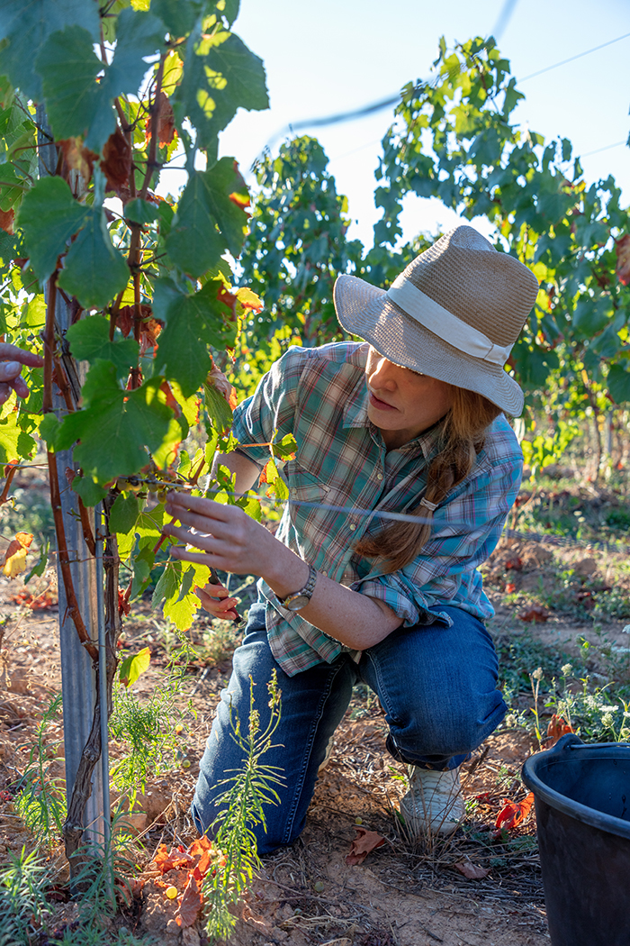 Château de Champ-Renard